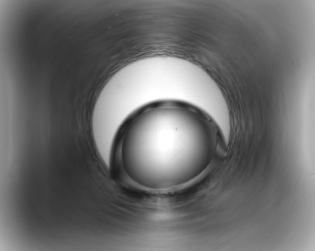 X0000088430276200706051235