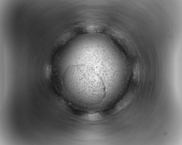 X0000088430278200706051235