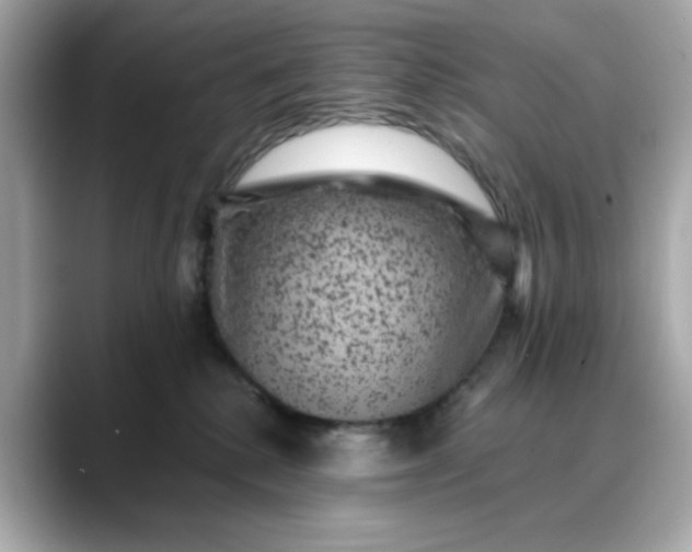 X0000088430280200706051235