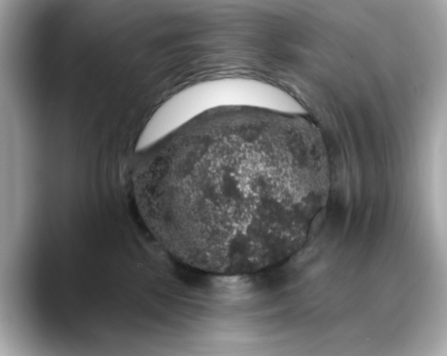 X0000088430281200706051236