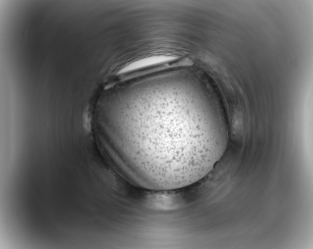 X0000088430282200706051236