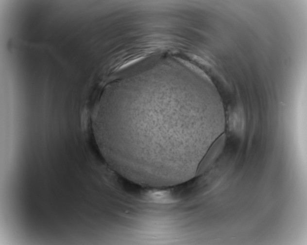 X0000088430283200706051236