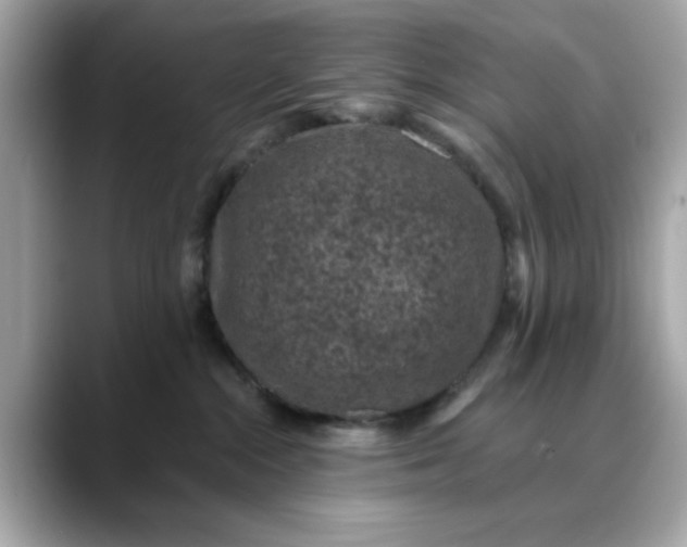 X0000088430284200706051236