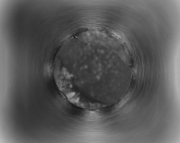 X0000088430285200706051236