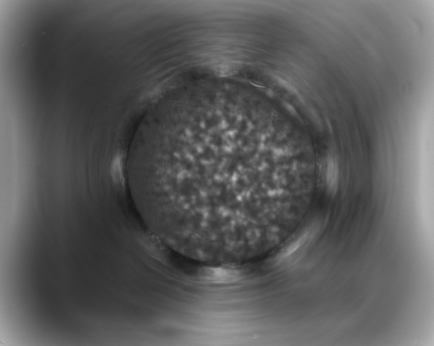 X0000088430286200706051236