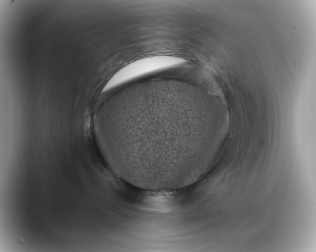 X0000088430288200706051236