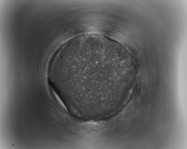 X0000088430290200706051235