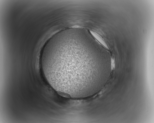 X0000088430291200706051235