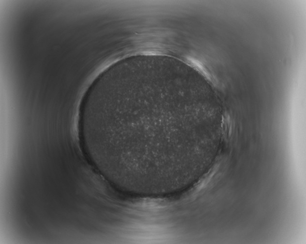 X0000088430292200706051235