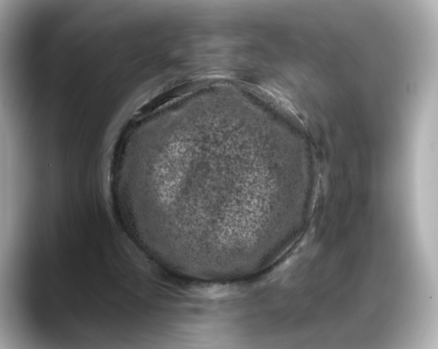 X0000088430293200706051235