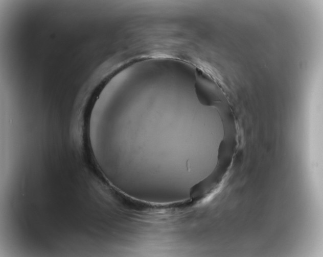 X0000088430295200706051235