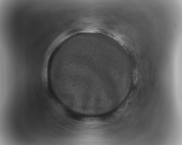 X0000088430296200706051235