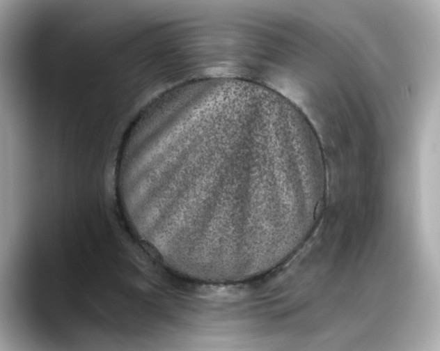 X0000088430297200706051235