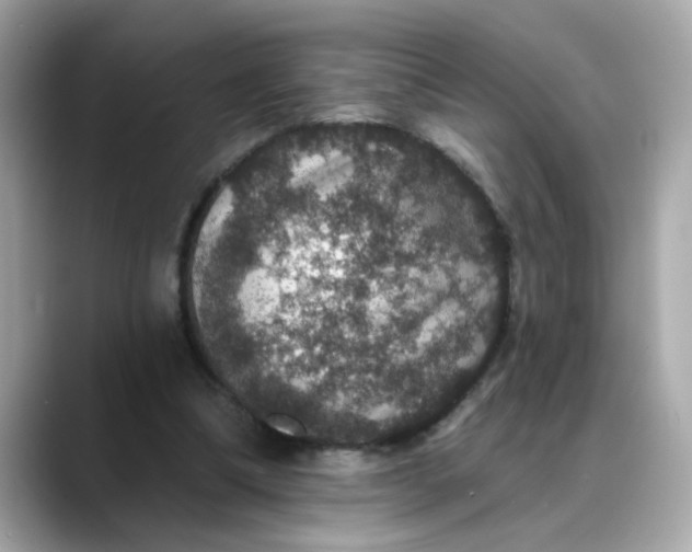 X0000088430298200706051235