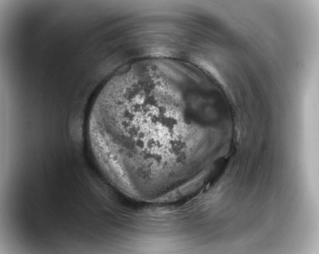 X0000088430299200706051235