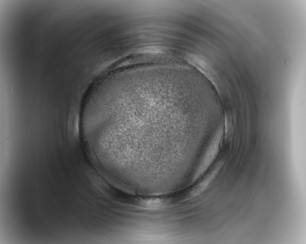 X0000088430301200706051235