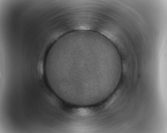 X0000088430302200706051235