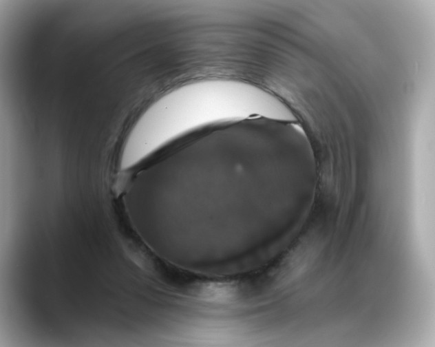 X0000088430303200706051235