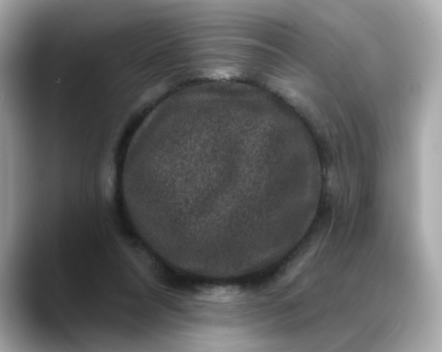 X0000088430304200706051235