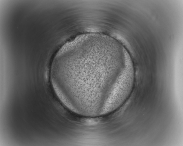 X0000088430305200706051235