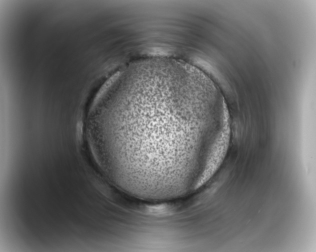 X0000088430309200706051235