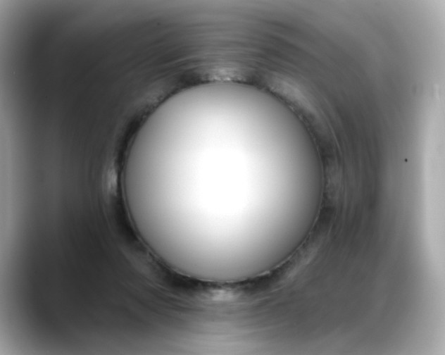 X0000088430310200706051235