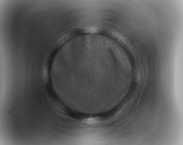 X0000088430312200706051235