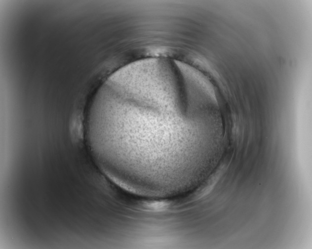 X0000088430313200706051235