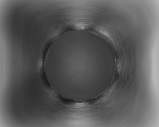 X0000088430314200706051235