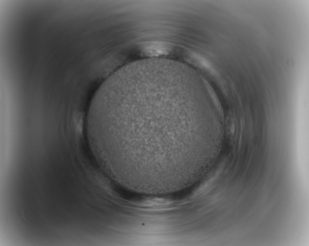 X0000088430315200706051235