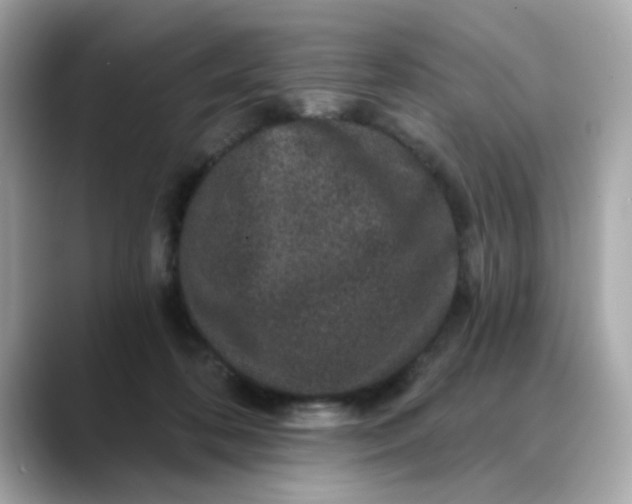 X0000088430316200706051235