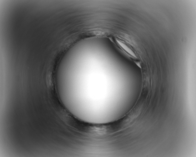 X0000088430317200706051235