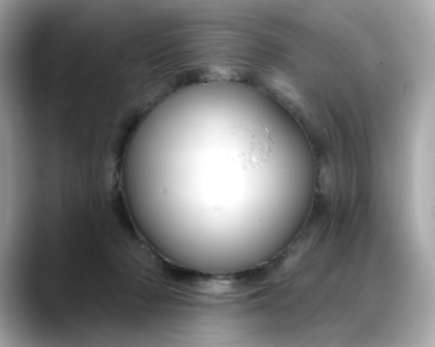 X0000088430318200706051235