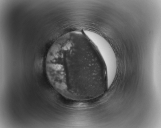 X0000088430319200706051235