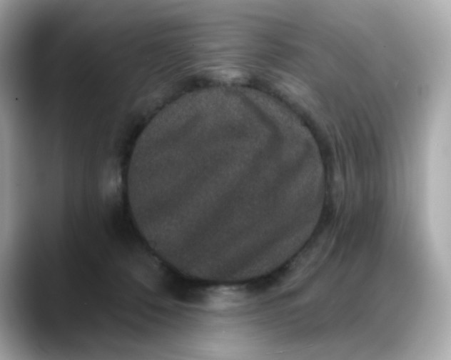 X0000088430320200706051235