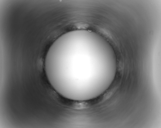 X0000088430321200706051235