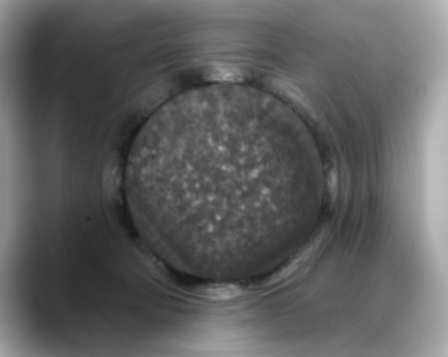 X0000088430322200706051235