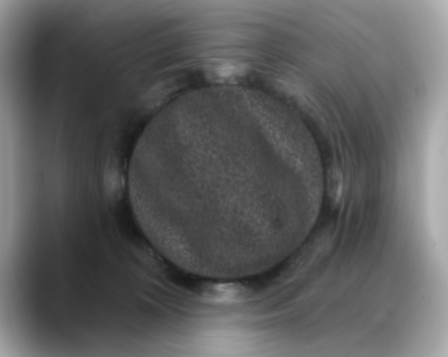 X0000088430324200706051235