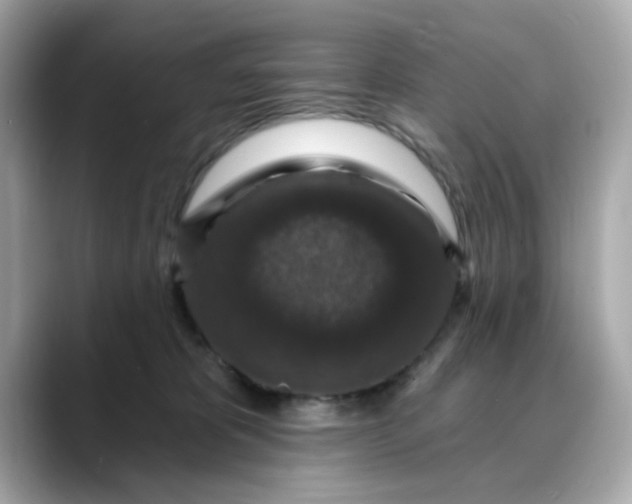 X0000088430325200706051235