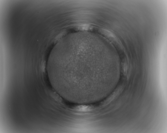 X0000088430326200706051235