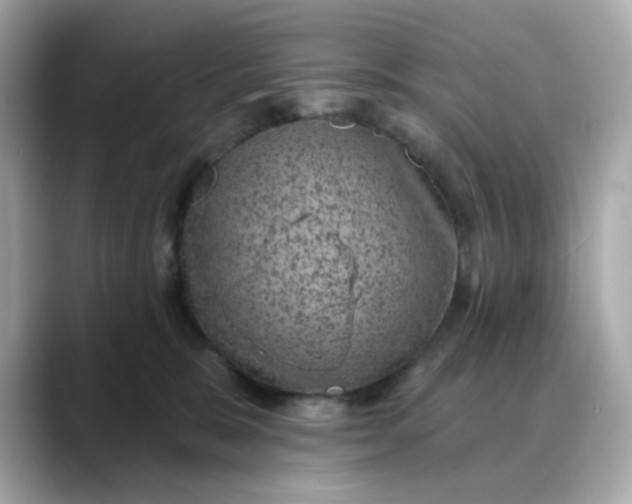 X0000088430327200706051235