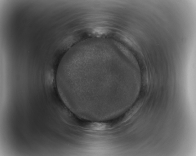 X0000088430328200706051235