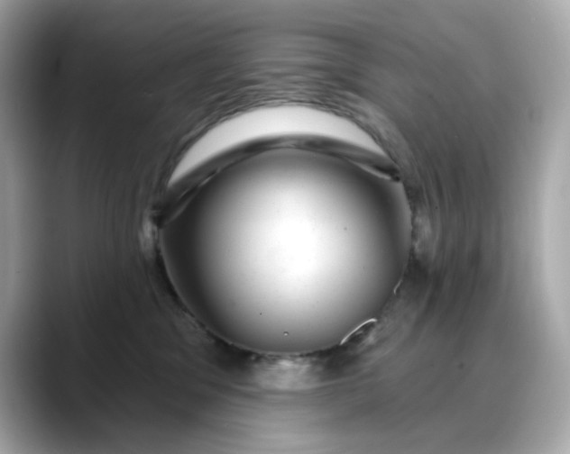 X0000088430329200706051235