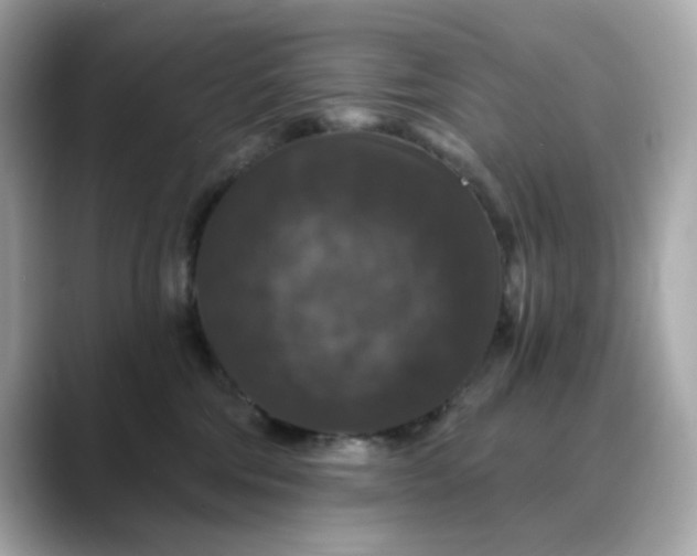 X0000088430330200706051235