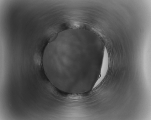 X0000088430331200706051235