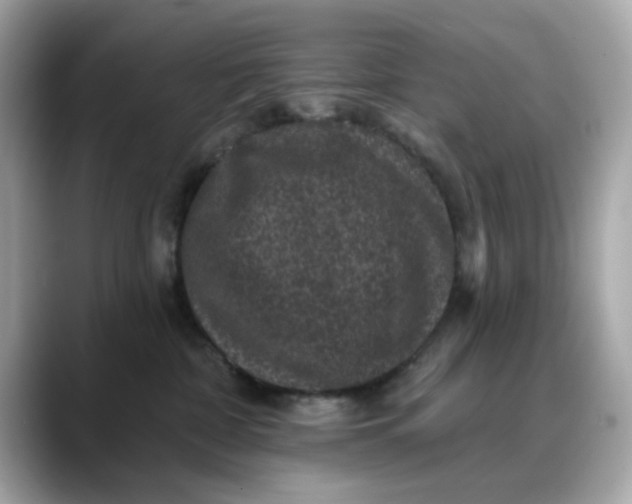 X0000088430332200706051235