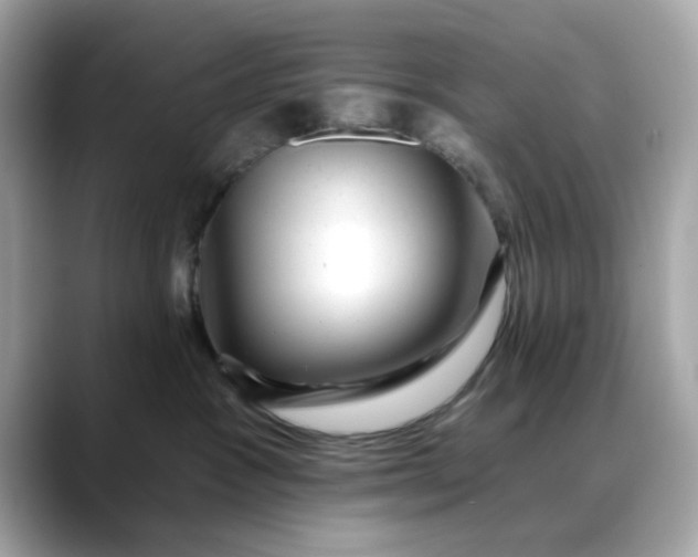 X0000088430333200706051235