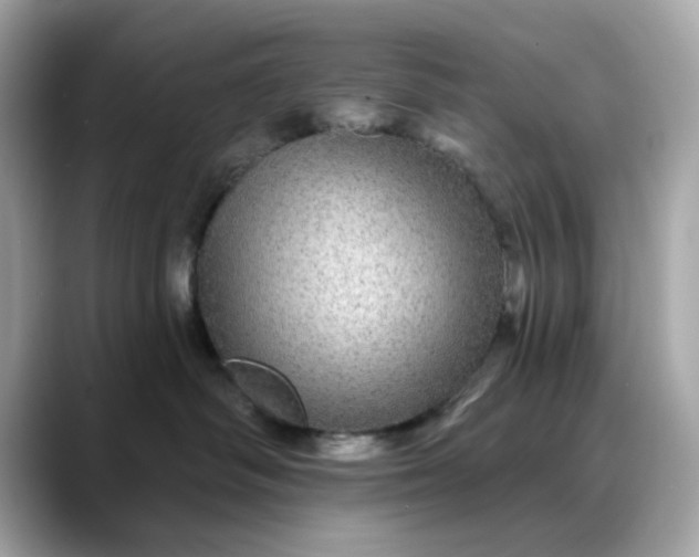 X0000088430334200706051235