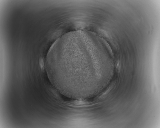 X0000088430335200706051234