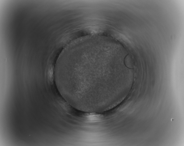 X0000088430336200706051234